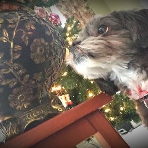 Meet your Posher, Charlene